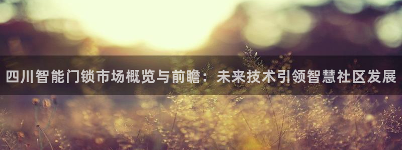 开丰娱乐新登录平台：四川智能门锁市场概览与前瞻：未来技术引领