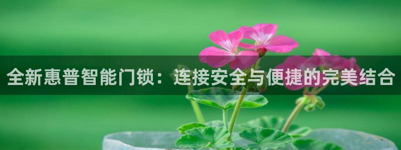 开丰娱乐平台官网网址：全新惠普智能门锁：连接安全与便捷的完美