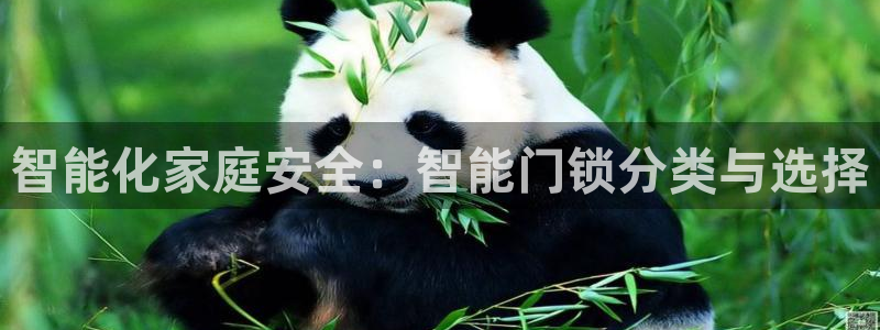 开丰娱乐地址：智能化家庭安全：智能门锁分类与选择