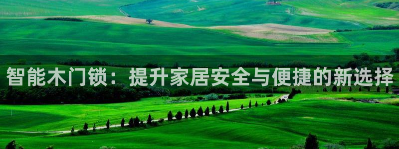 圩丰刚开的娱乐场所：智能木门锁：提升家居安全与便捷的新选择
