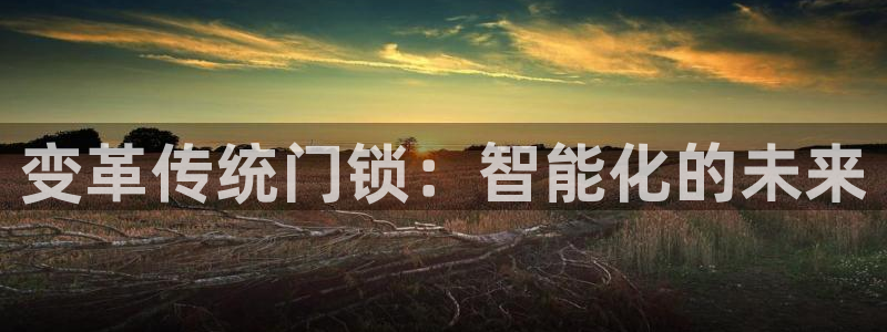 开丰娱乐登入地址在哪儿：变革传统门锁：智能化的未来