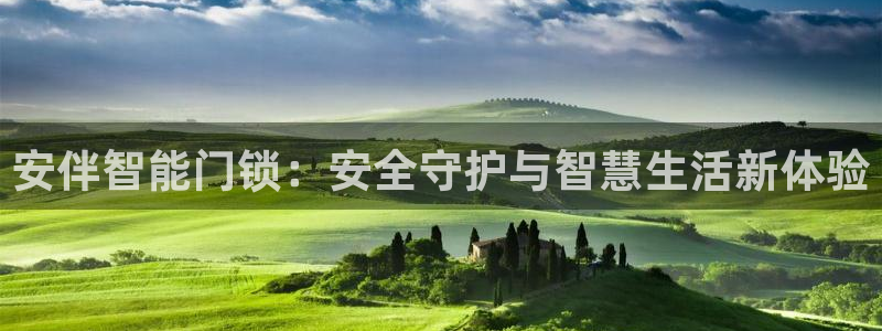 开丰娱乐怎么开转点：安伴智能门锁：安全守护与智慧生活新体验