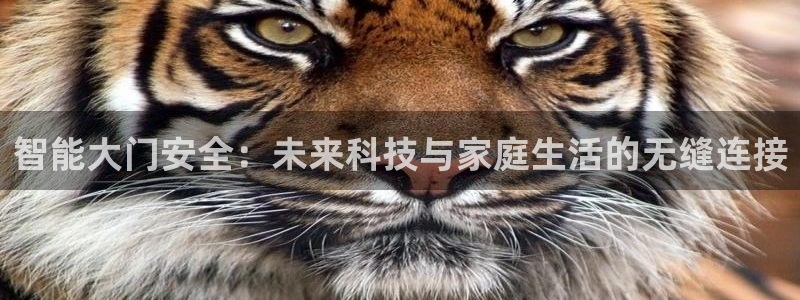 开丰娱乐左7O667：智能大门安全：未来科技与家庭生活的无缝