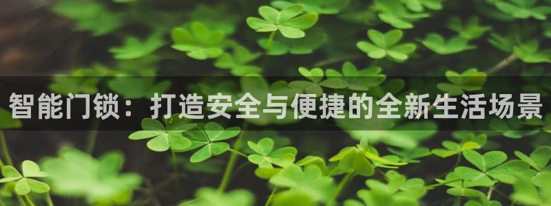 开丰娱乐优七九九47：智能门锁：打造安全与便捷的全新生活场景