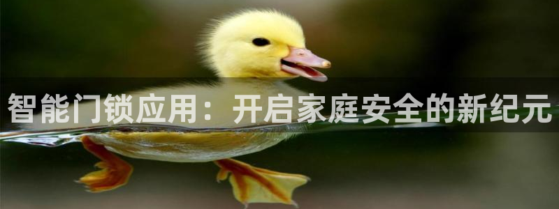 开丰娱乐上：智能门锁应用：开启家庭安全的新纪元