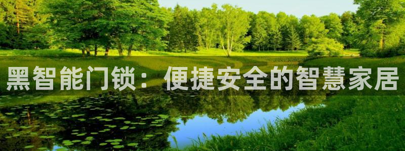 如何注册开丰娱乐账号：黑智能门锁：便捷安全的智慧家居