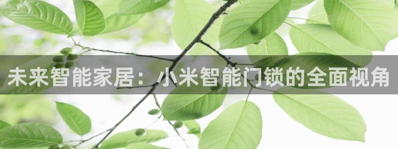 开丰娱乐登录平台下载：未来智能家居：小米智能门锁的全面视角