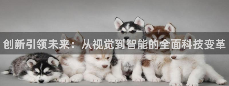 开丰娱乐千67五壹叁八：创新引领未来：从视觉到智能的全面科技