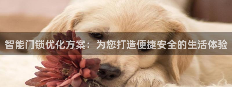 开丰娱乐联系q徽22212：智能门锁优化方案：为您打造便捷安