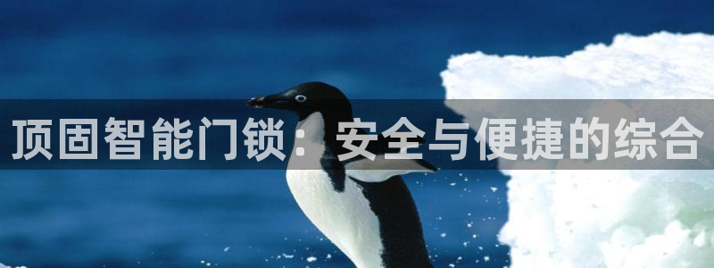 开丰娱乐平台官网登录：顶固智能门锁：安全与便捷的综合