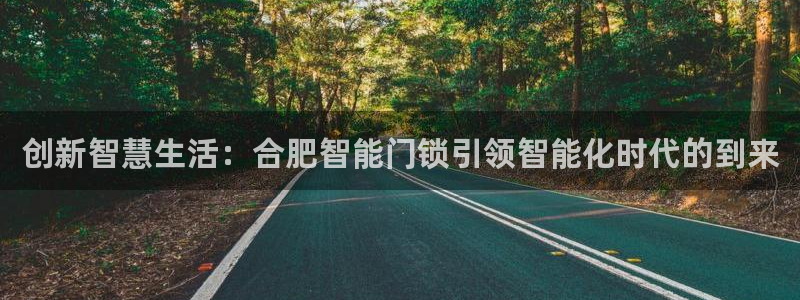 开丰娱乐平台地址电话：创新智慧生活：合肥智能门锁引领智能化时