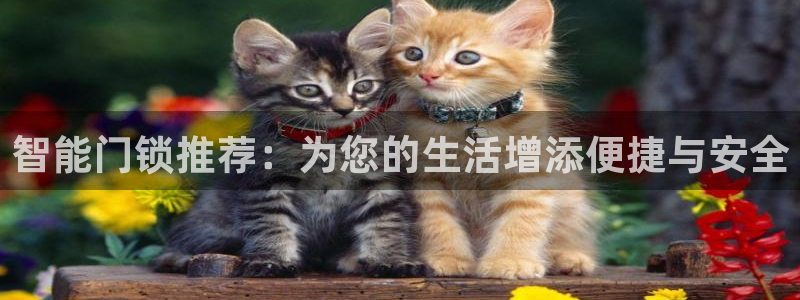 开丰娱乐手机app：智能门锁推荐：为您的生活增添便捷与安全