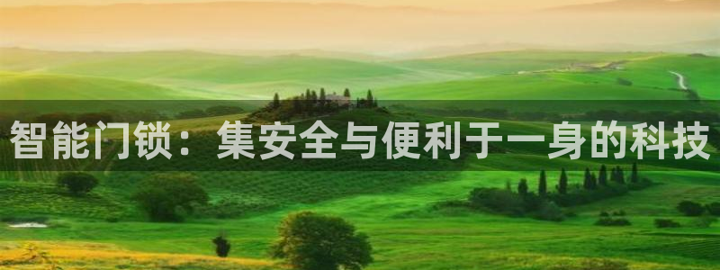 开丰娱乐平台：智能门锁：集安全与便利于一身的科技