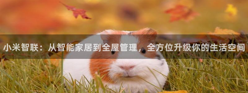 开丰娱乐万六七五一38：小米智联：从智能家居到全屋管理，全方