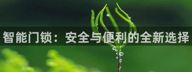 开丰娱乐左：智能门锁：安全与便利的全新选择