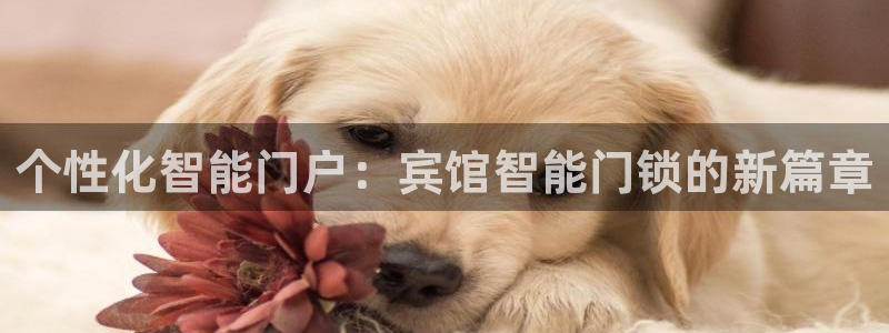 开丰娱乐登入地址：个性化智能门户：宾馆智能门锁的新篇章