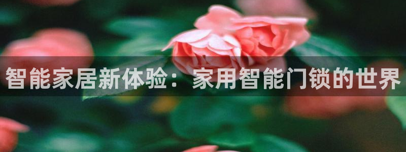开丰娱乐联系q徽22212：智能家居新体验：家用智能门锁的世