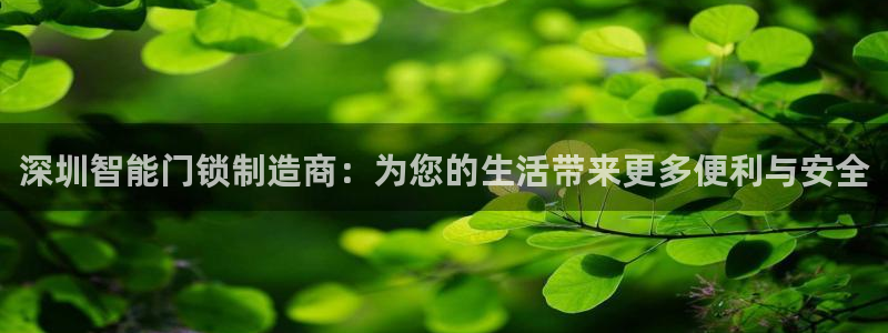 开丰娱乐注册登录：深圳智能门锁制造商：为您的生活带来更多便利