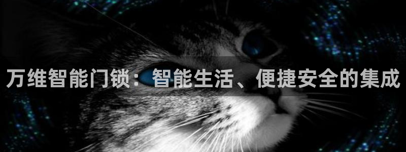 开丰娱乐月：万维智能门锁：智能生活、便捷安全的集成