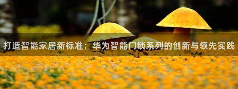 开丰娱乐开户：打造智能家居新标准：华为智能门锁系列的创新与领