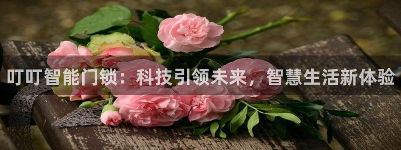 开丰娱乐靠谱吗：叮叮智能门锁：科技引领未来，智慧生活新体验