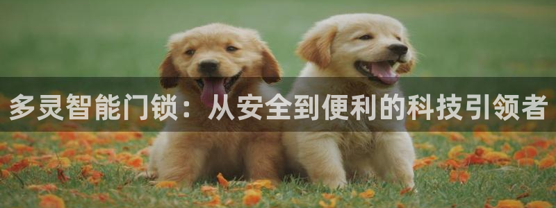开丰娱乐登入地址在哪：多灵智能门锁：从安全到便利的科技引领者