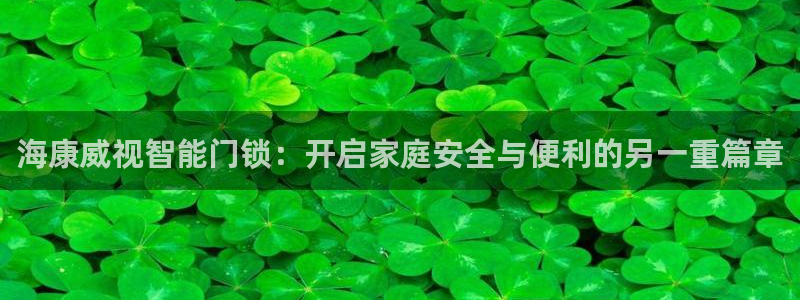 开丰娱乐67 5138：海康威视智能门锁：开启家庭安全与便利