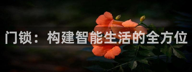 开丰娱乐注册登录：门锁：构建智能生活的全方位