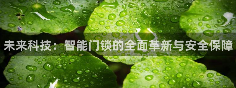 圩丰刚开的娱乐场所：未来科技：智能门锁的全面革新与安全保障