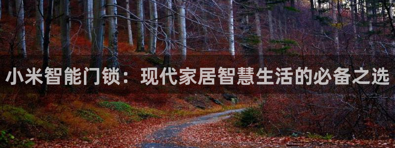 开丰娱乐官网平台登录：小米智能门锁：现代家居智慧生活的必备之