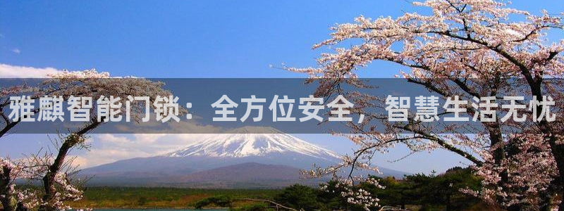 开丰娱乐平台地址在哪里